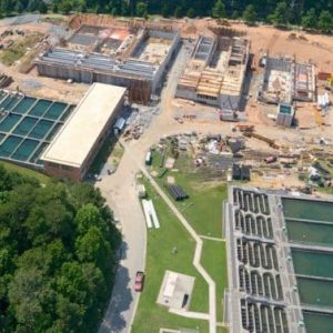 Quarles-Plant-4-e1567103645666-1