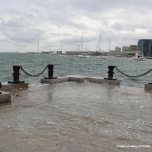 b9045161-4f98-4b47-b0fd-fec85ea3c139