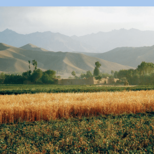 ba85e195-1817-4f73-aeab-1d548ef2968f